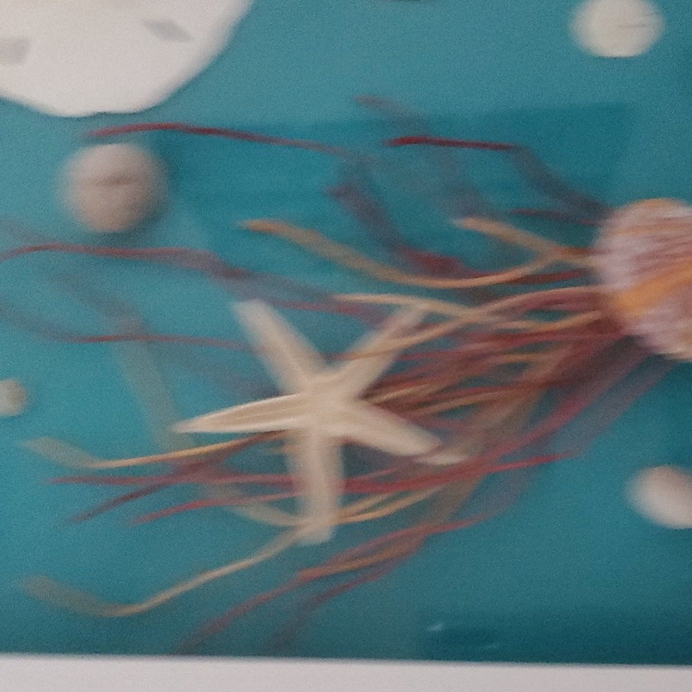 Shell, coral, star fish no973 - Picture 2 of 3